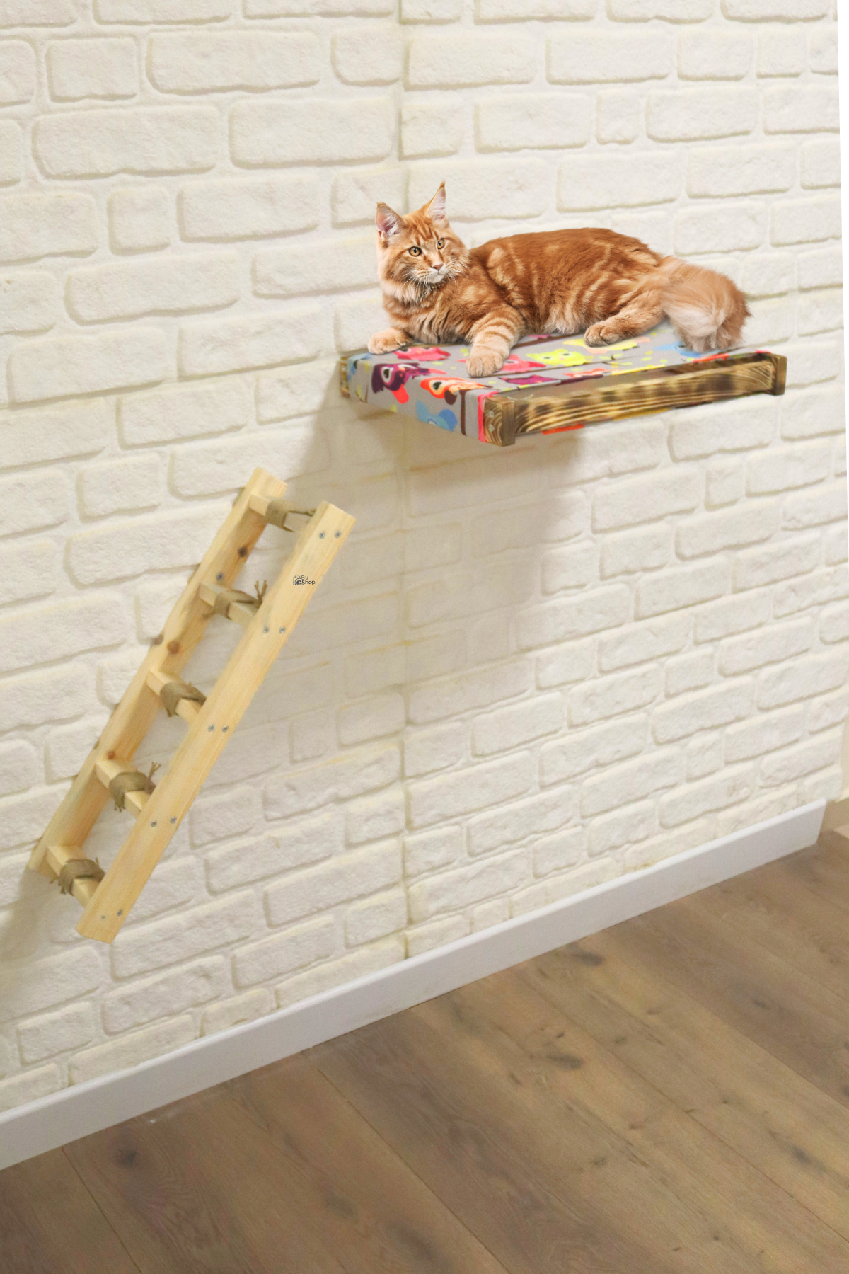 Kedi yatağı Kedi evi ve Kedi merdiveni takımı Sağ Sol Uyumlu Bushop Antique Duvara Monte Kedi Hamağı 