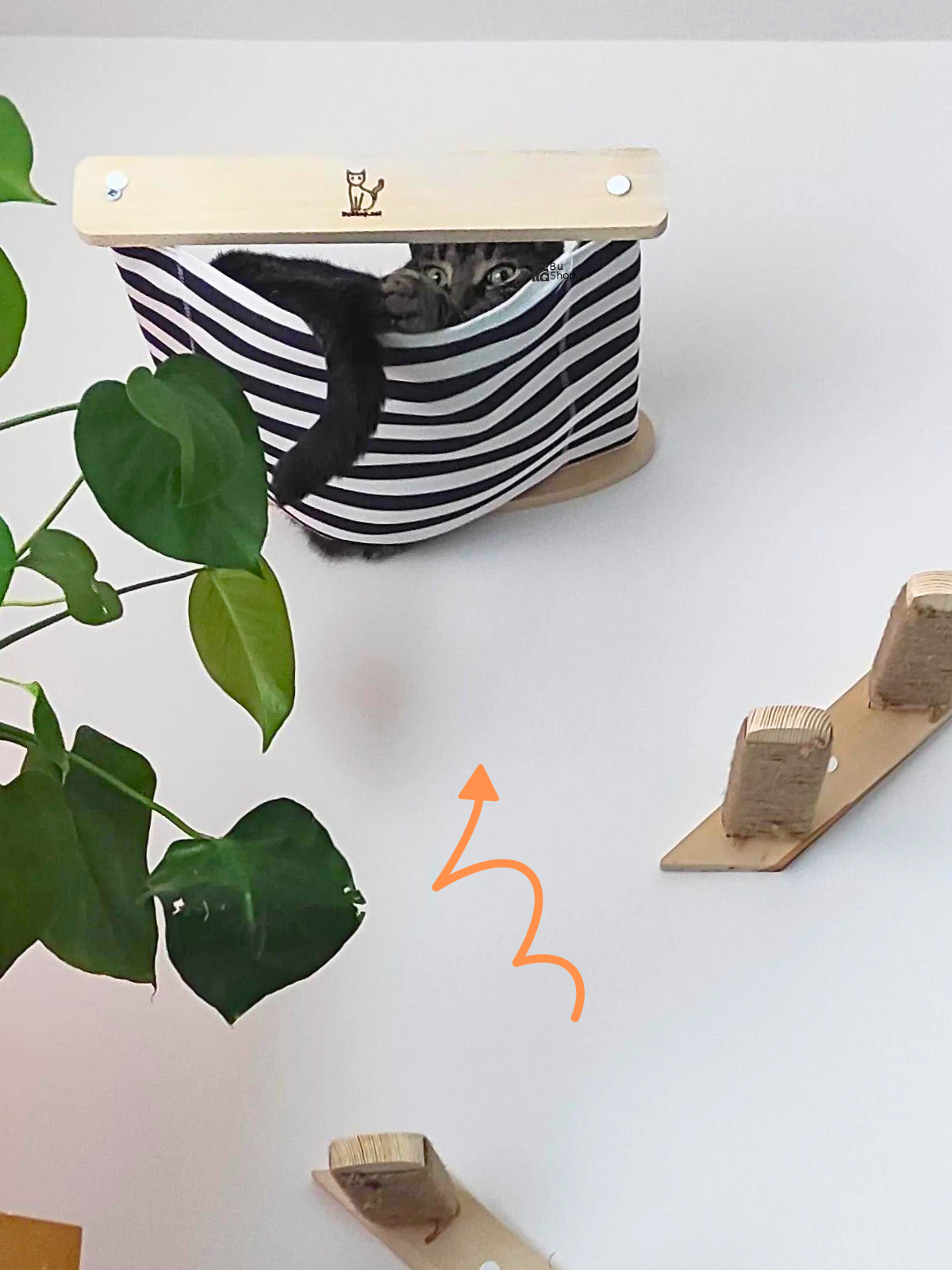 Duvara Monte Ahşap Siyah Bezli Kedi Hamağı BuShop doğal ahşap kedi Sol tek merdiven İkili set Kampanya Zebra Serisi