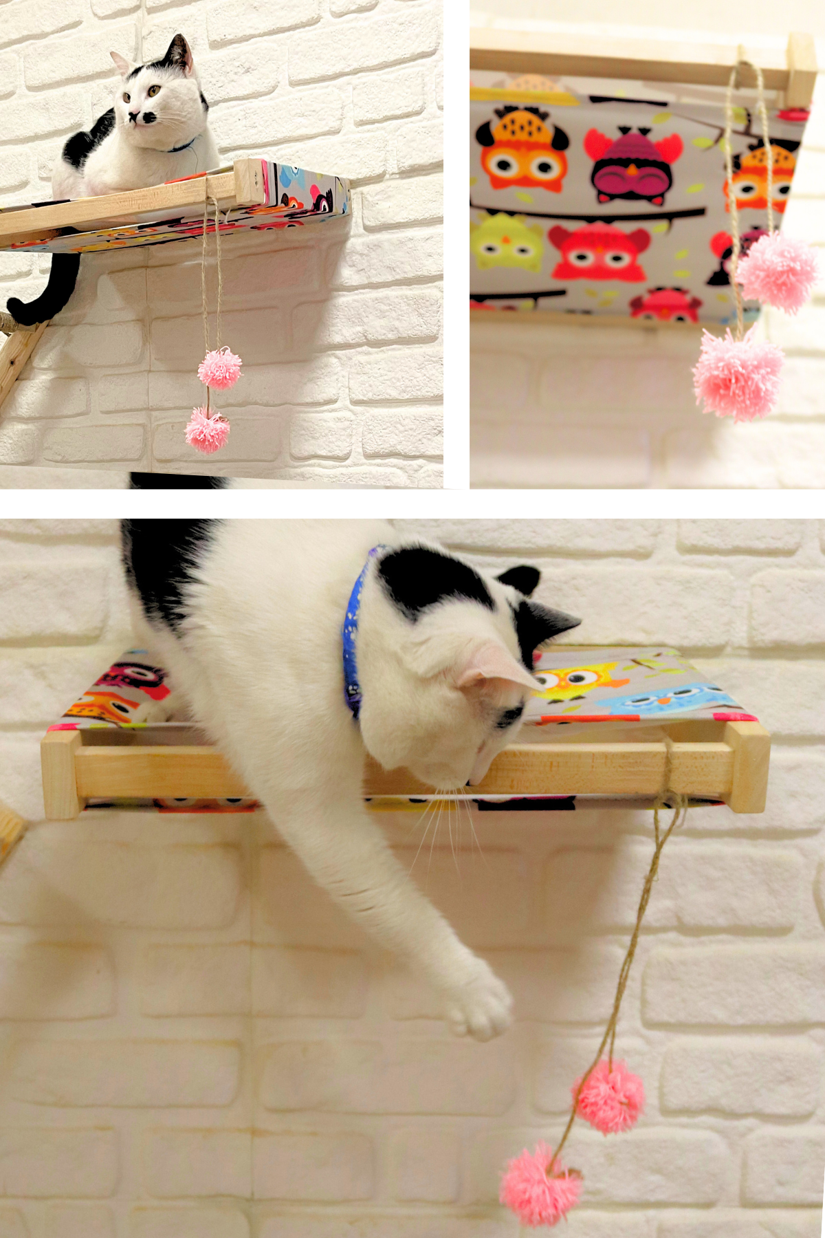 Kedi yatağı ve Kedi merdiveni takımı Kedi evi Duvara Monte Kedi Hamağı Bushop Kuş 6 Parça