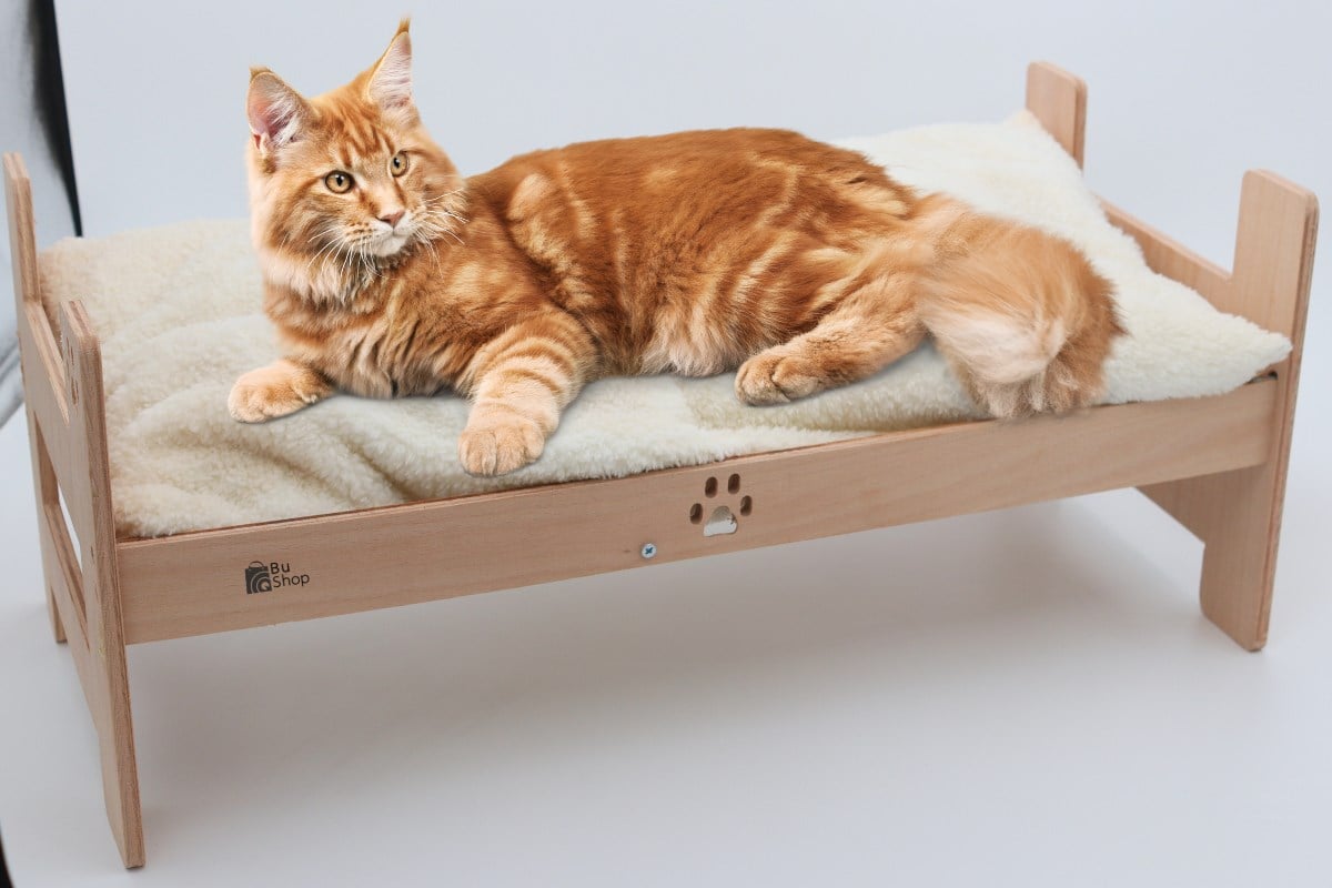Kedi Yatağı ve Minder Seti Bushop Kontrplak Ahşap