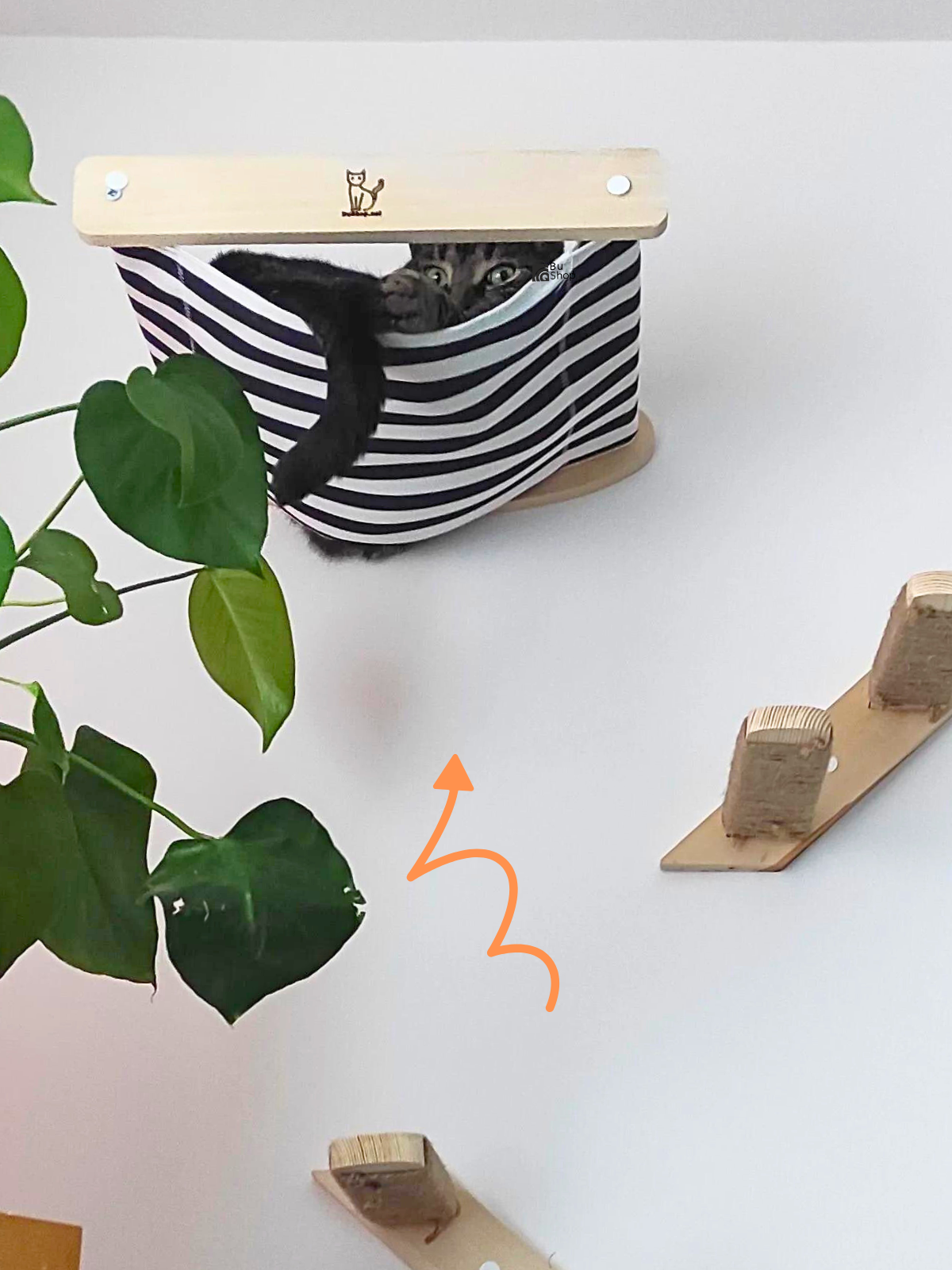 Kedi Yuvası, Kedi duvar yatağı, Kedi Yatağı, Kedi hamağı, Ahşap Modern Set, BuShop Black Zebra Serisi 