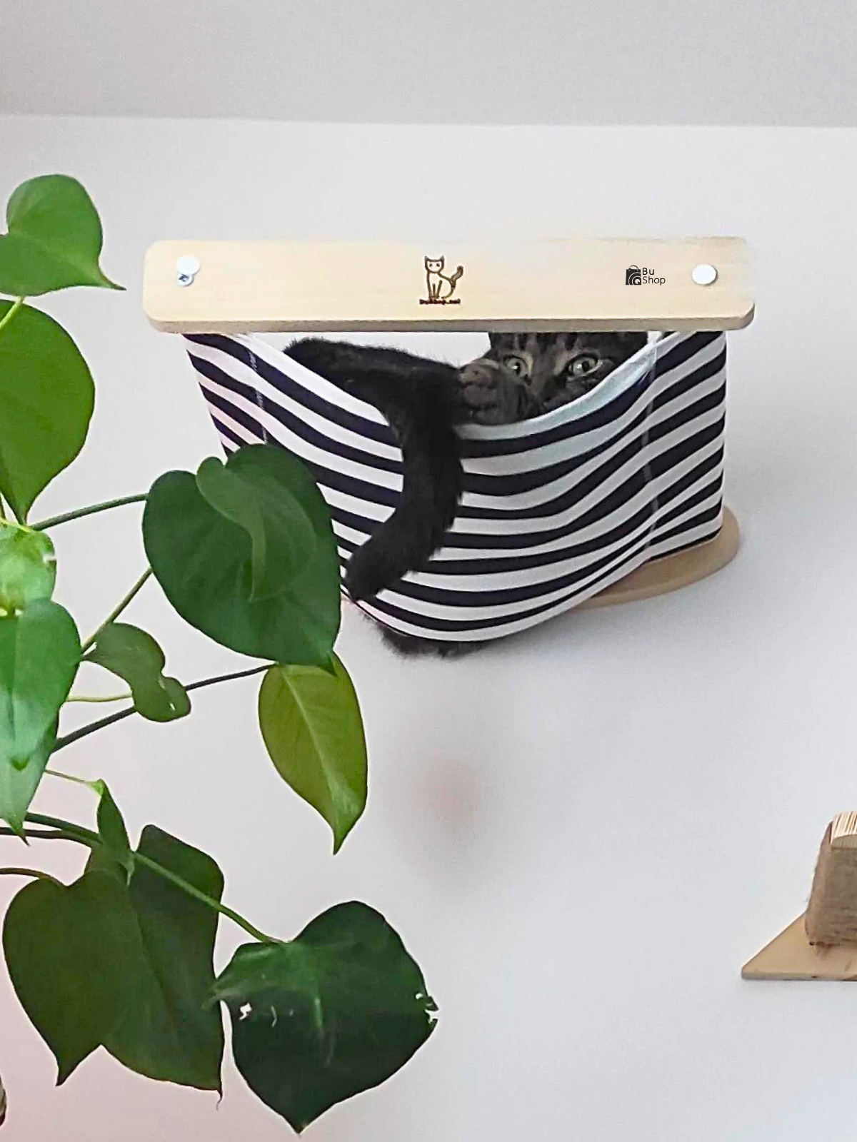 Kedi Yuvası, Kedi duvar yatağı, Kedi Yatağı, Kedi hamağı, Ahşap Modern Set, BuShop Black Zebra Serisi 