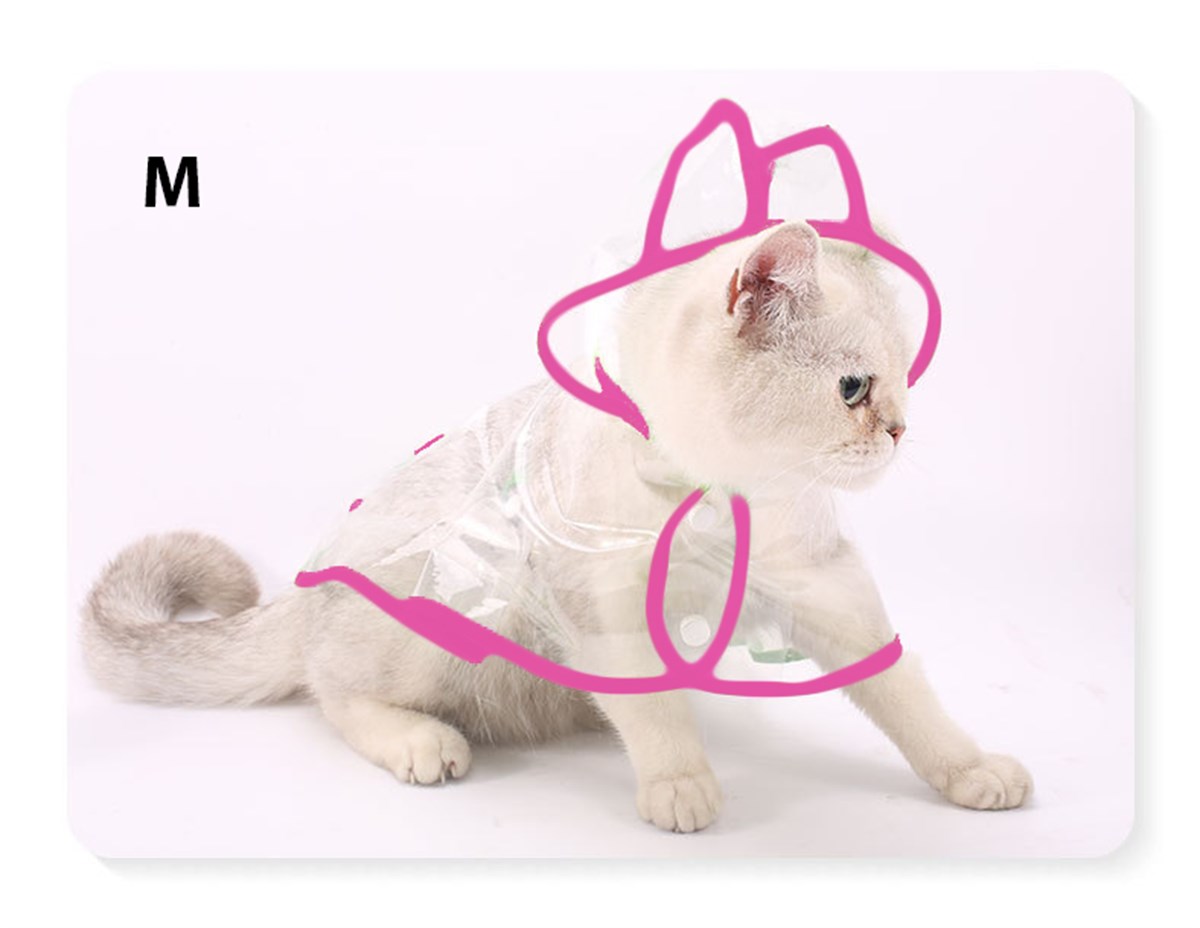 Kediler için şeffaf Yağmurluk Pembe  Medium