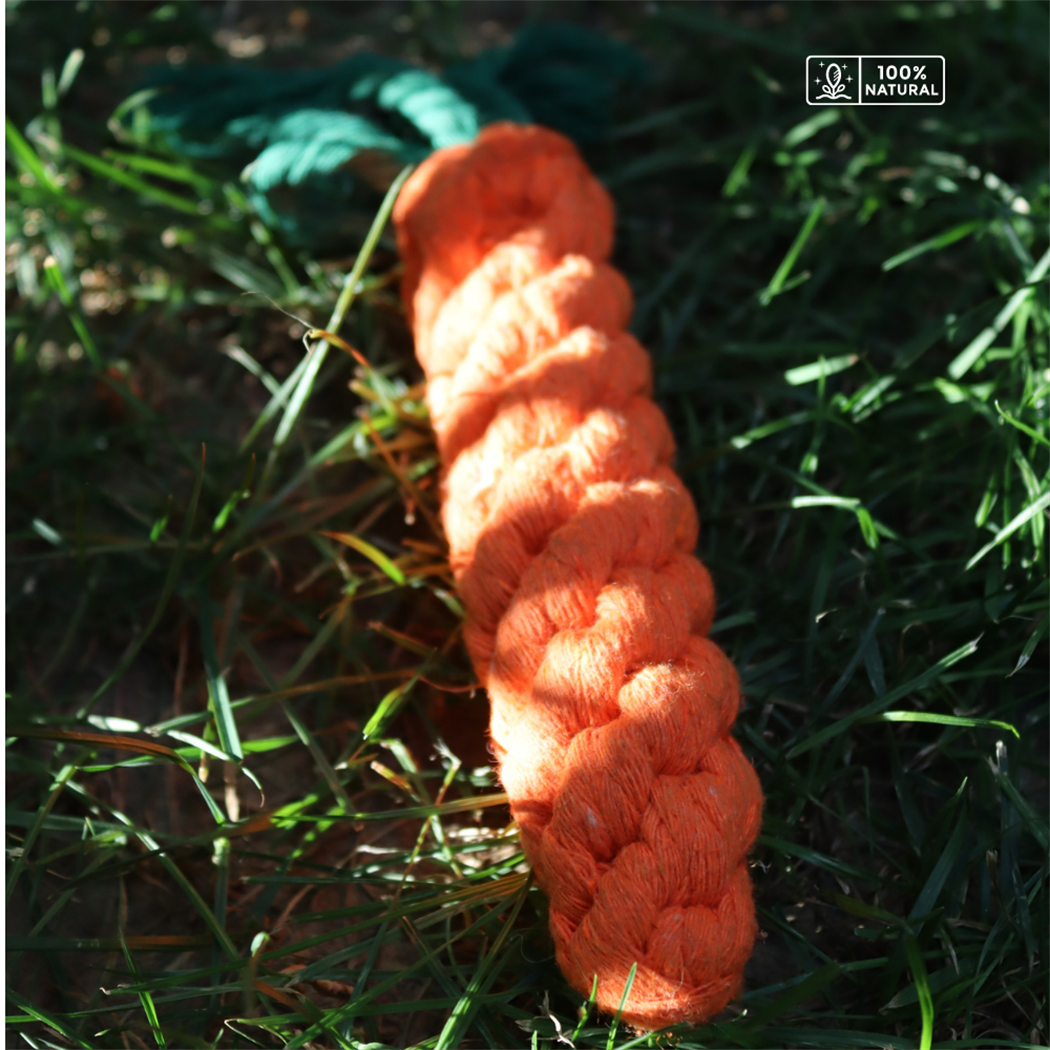 Köpek diş kaşıma ve Isırma oyuncağı – Sağlam Diş İpi Halatı Bushop Havuç 