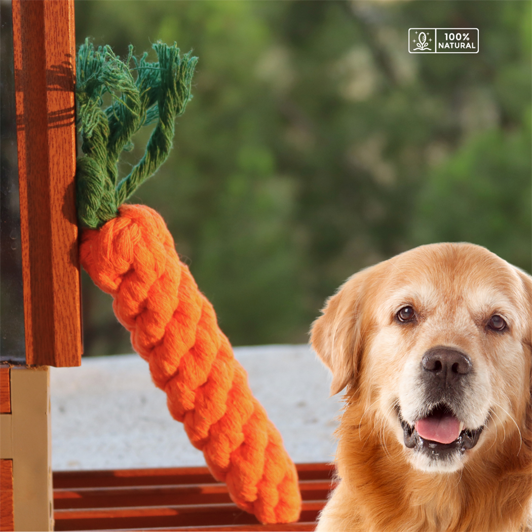 Köpek diş kaşıma ve Isırma oyuncağı – Sağlam Diş İpi Halatı Bushop Havuç 