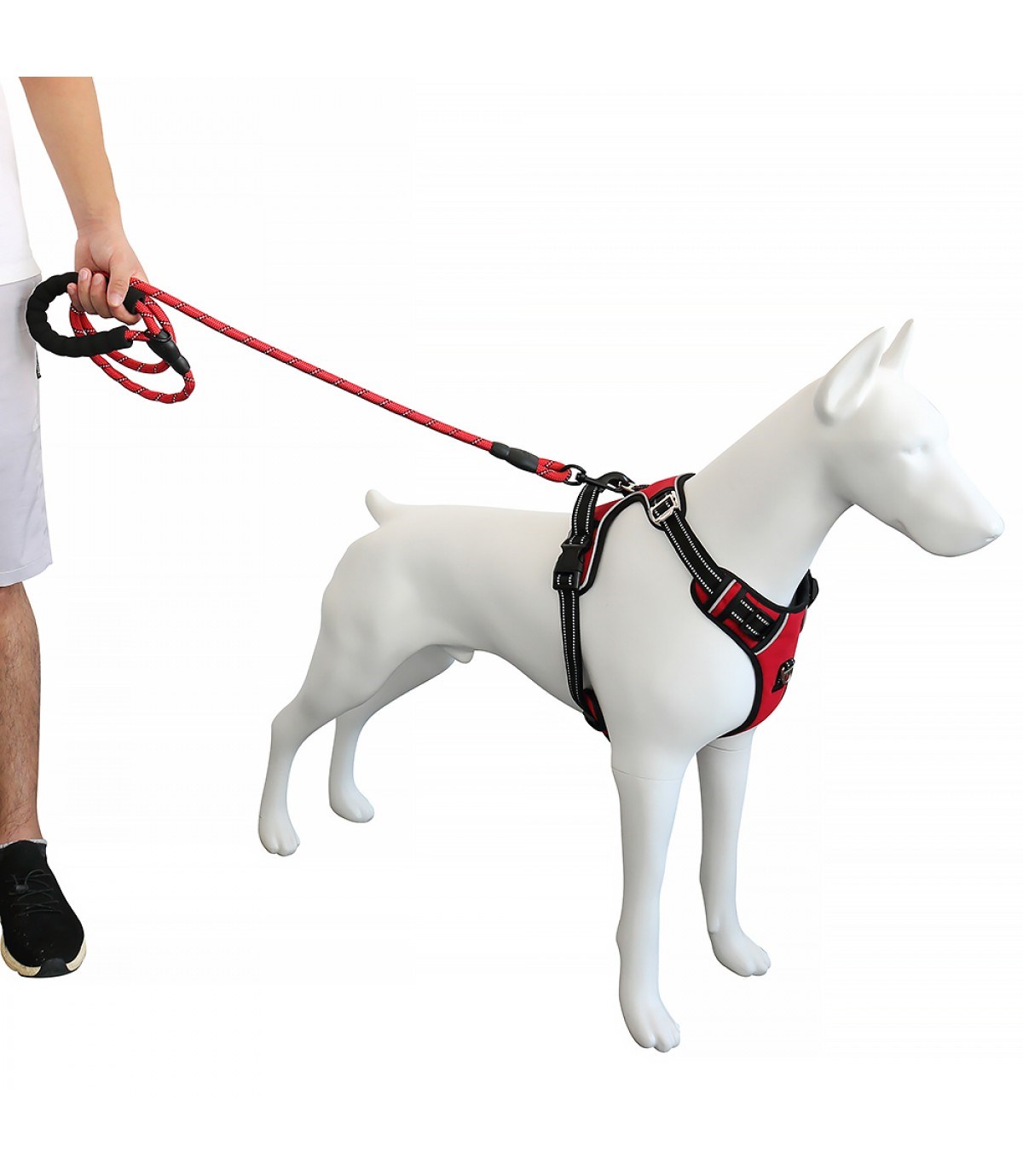 Köpek Göğüs Tasması Gezdirme Seti 2 Li Kırmızı Siyah Small BuShop