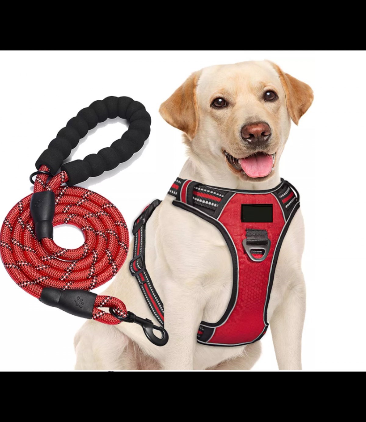 Köpek Göğüs Tasması Gezdirme Seti 2 Li M Siyah BuShop