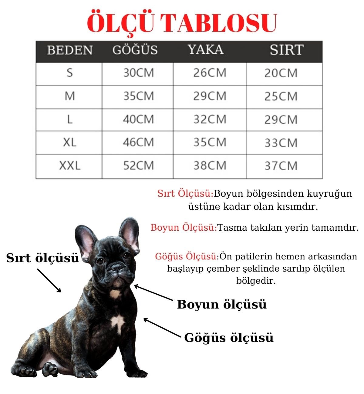 Köpek Göğüs Tasması Gezdirme Seti 2 Li S Siyah BuShop