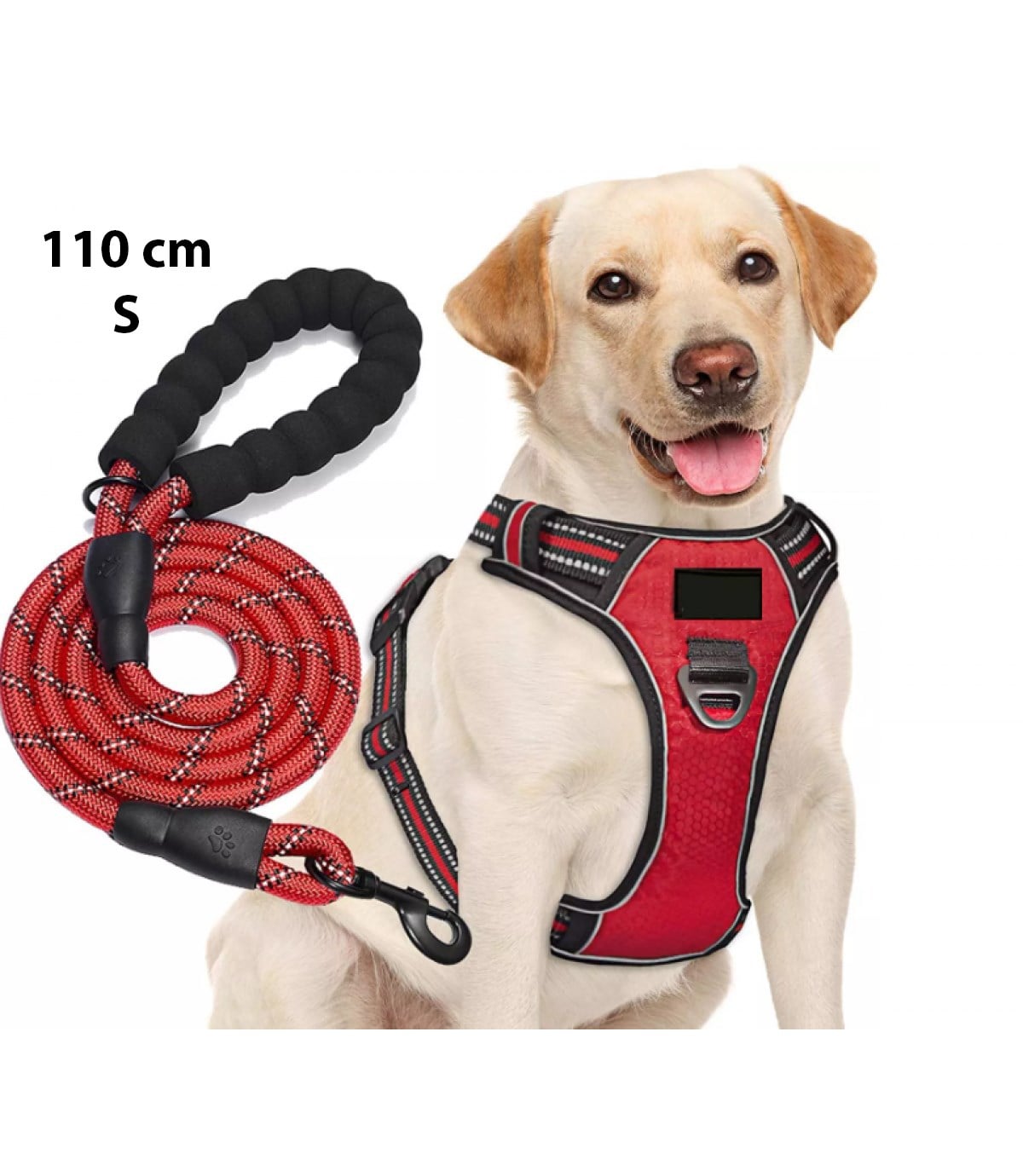 Köpek Göğüs Tasması Gezdirme Seti 2 Li Kırmızı Siyah Small BuShop