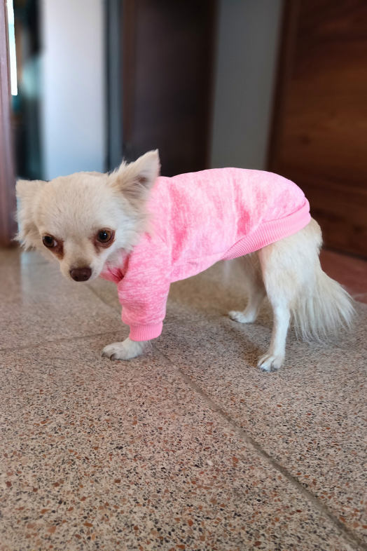 Köpek Kıyafeti ve Elbisesi Kaliteli kumaş Pembe Medium