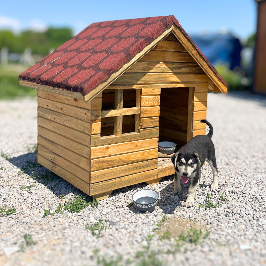 Kedi ve Köpek Yuvası BuShop Yatağı Kulübesi kamufulaj desenli