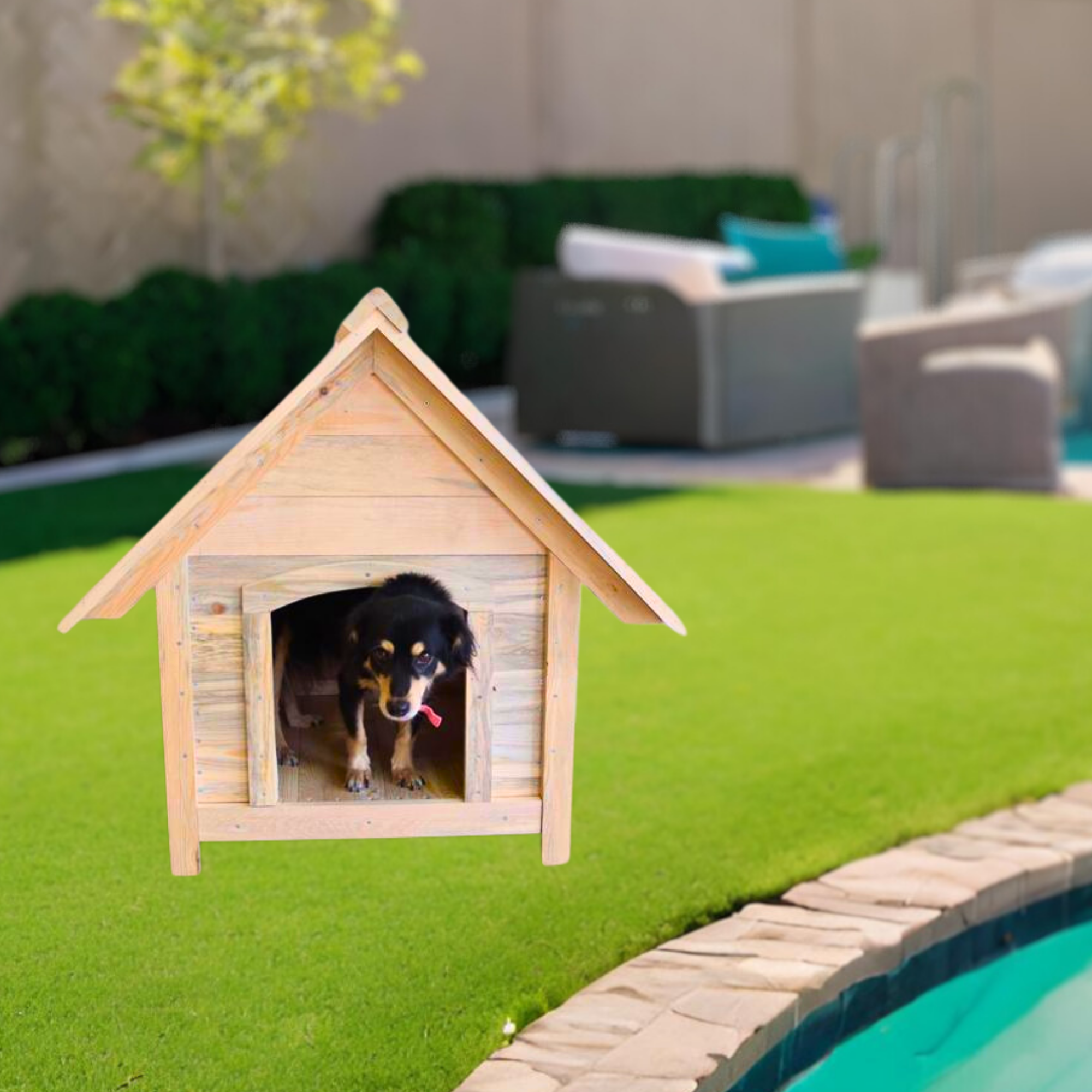 Köpek Kulübesi ve evi pro ahşap ısı yalıtımlı su geçirmez
