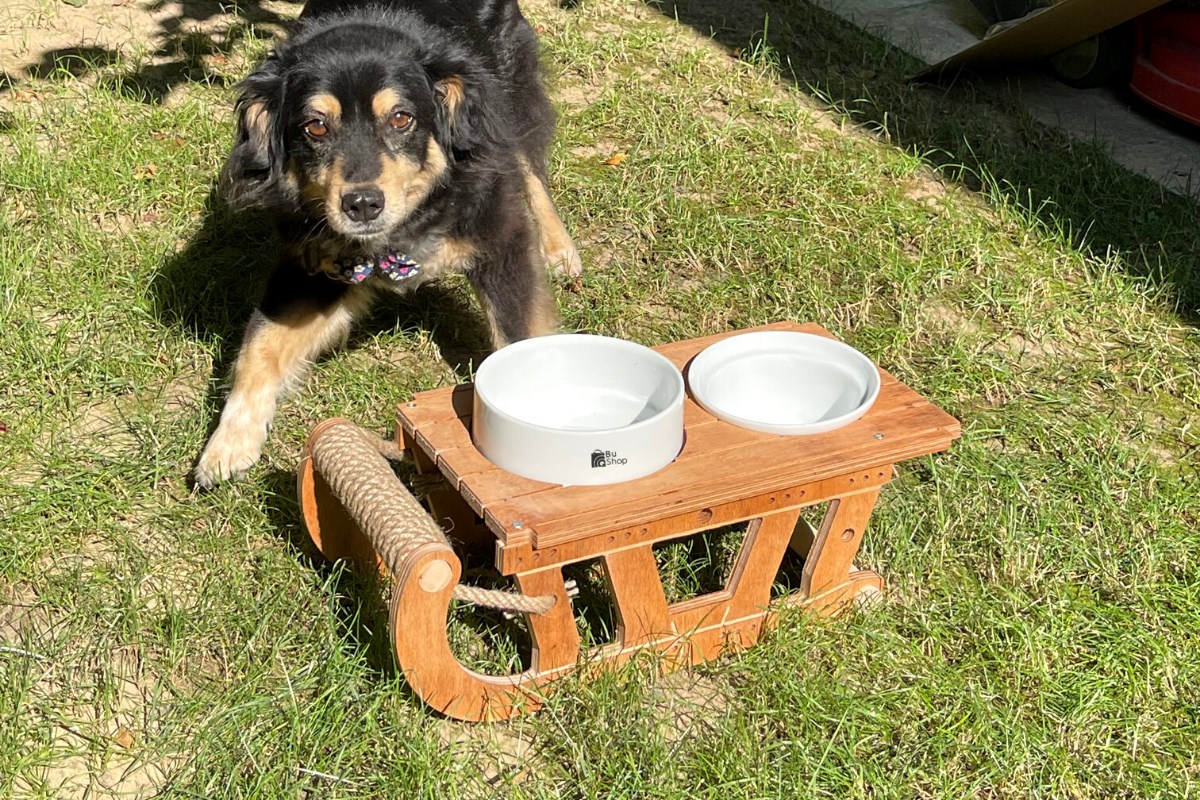 Köpek Mama ve Su Kabı  BuShop Lüx Ahşap  Seramik Kase Özel Tasarım Kızak Modeli