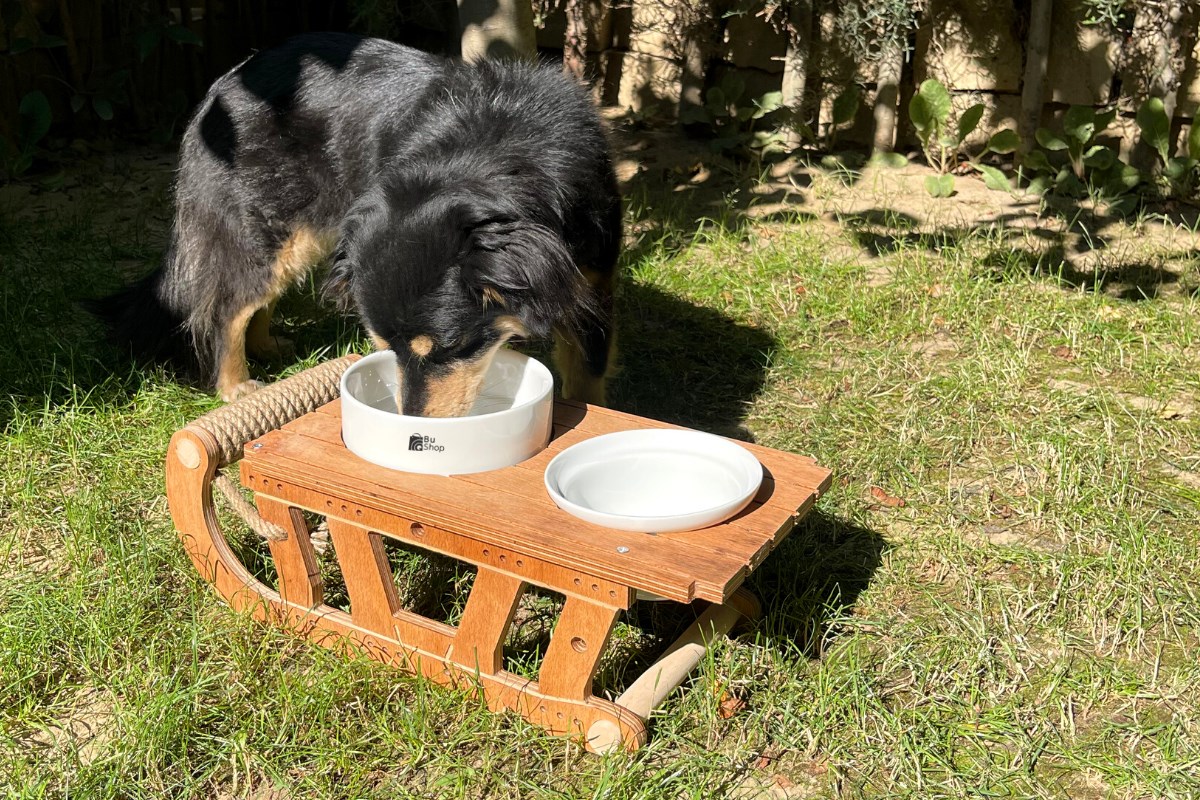 Köpek Mama ve Su Kabı  BuShop Lüx Ahşap  Seramik Kase Özel Tasarım Kızak Modeli