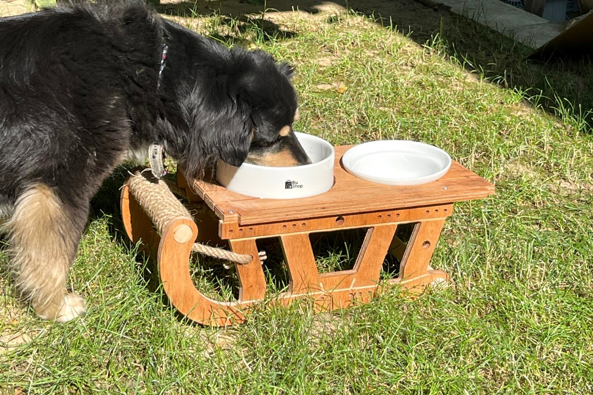 Köpek Mama ve Su Kabı  BuShop Lüx Ahşap  Seramik Kase Özel Tasarım Kızak Modeli
