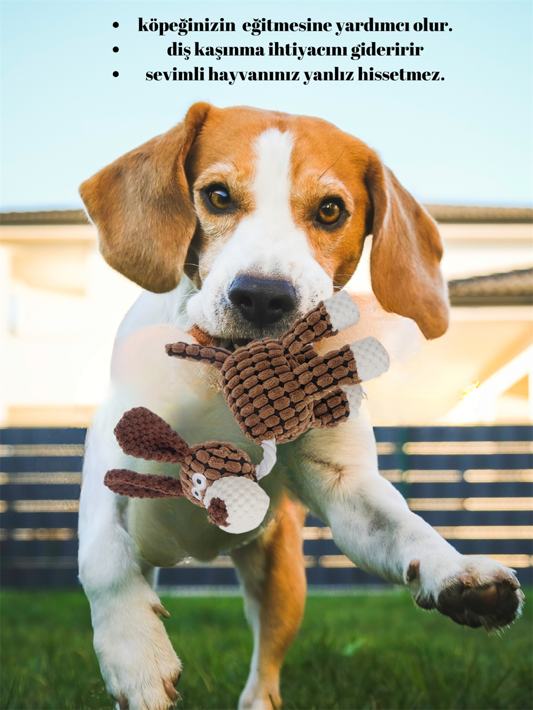 Köpek oyuncağı, köpek çiğneme oyuncak, eğitici köpek oyuncak ve Sağlam yapı-kaliteli ip- kahverengi donkey modeli 