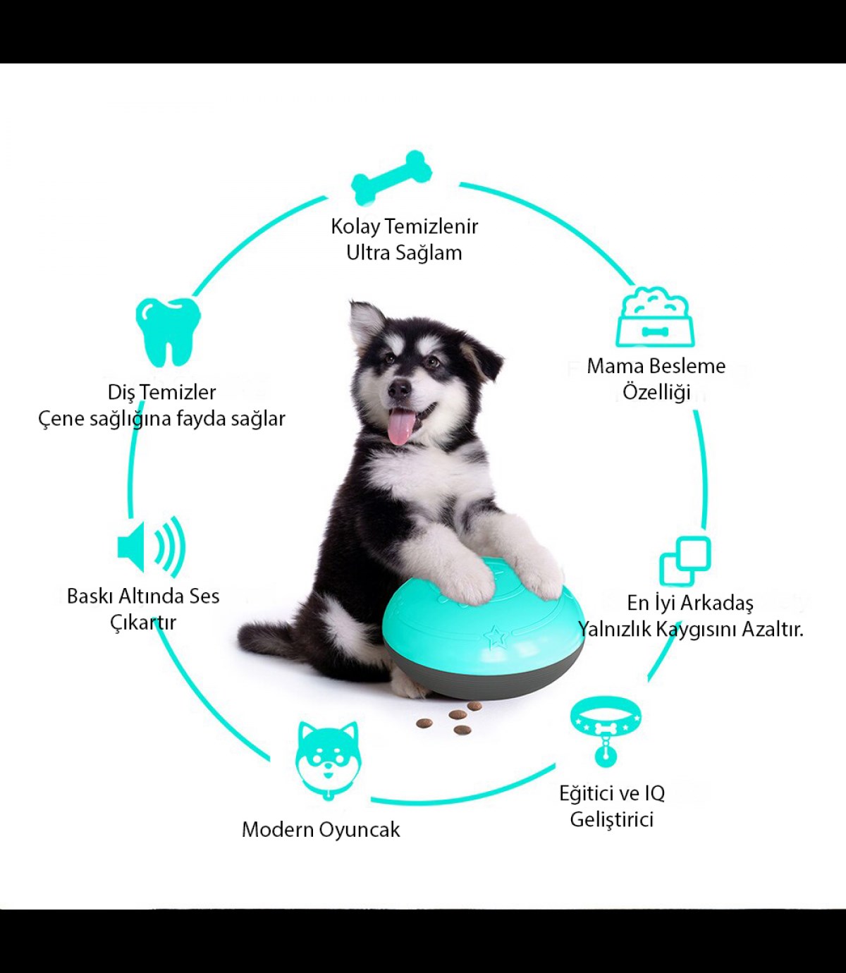 Köpek oyuncağı  Zeka geliştirir BuShop Ultra Dayanıklı  Baskı altında mama verir  Ses Çıkartır Mavi