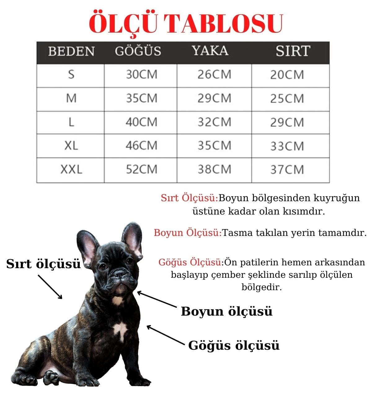 Köpek Tasmaları Led Işık Köpek Tasması Özel Etiketli BuShop Yansıtıcı Mavi