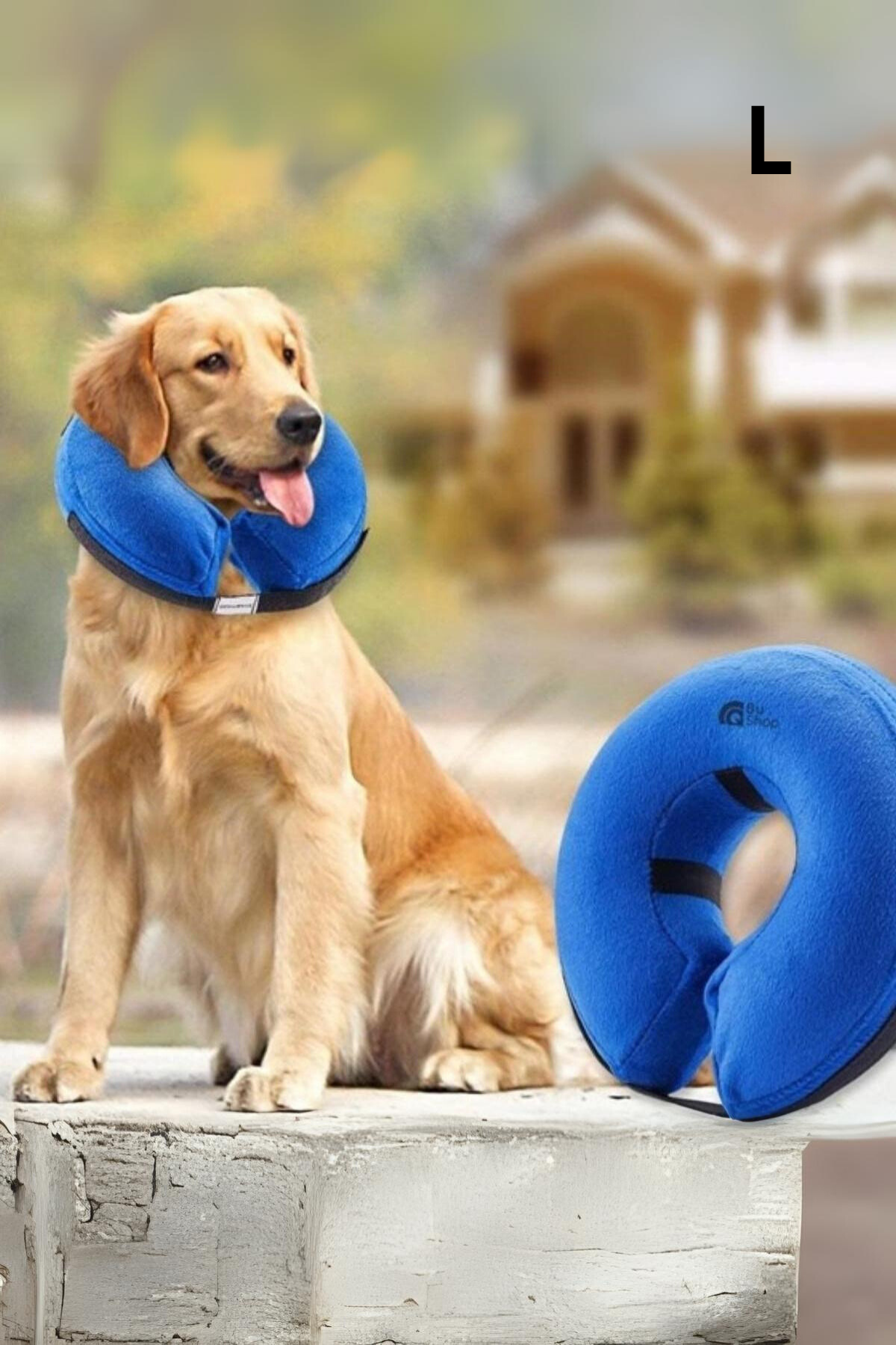 Köpek ve Kedi Boyun Koruyucu Şişme Yakalık Yüksek Kalite Mavi L
