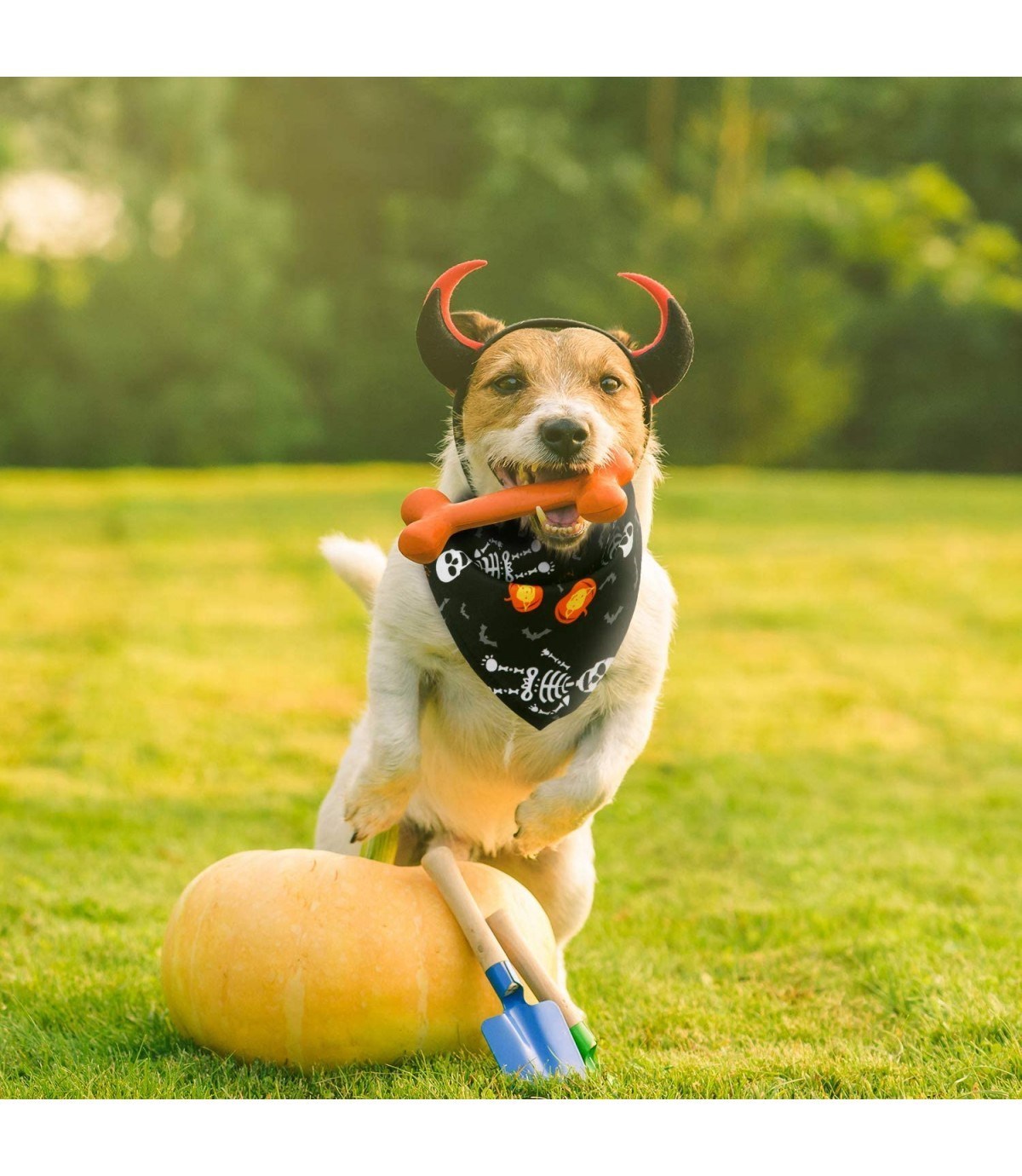 Köpek Ve Kedi Fular Bandana Cadılar Bayramı modeli Siyah BuShop