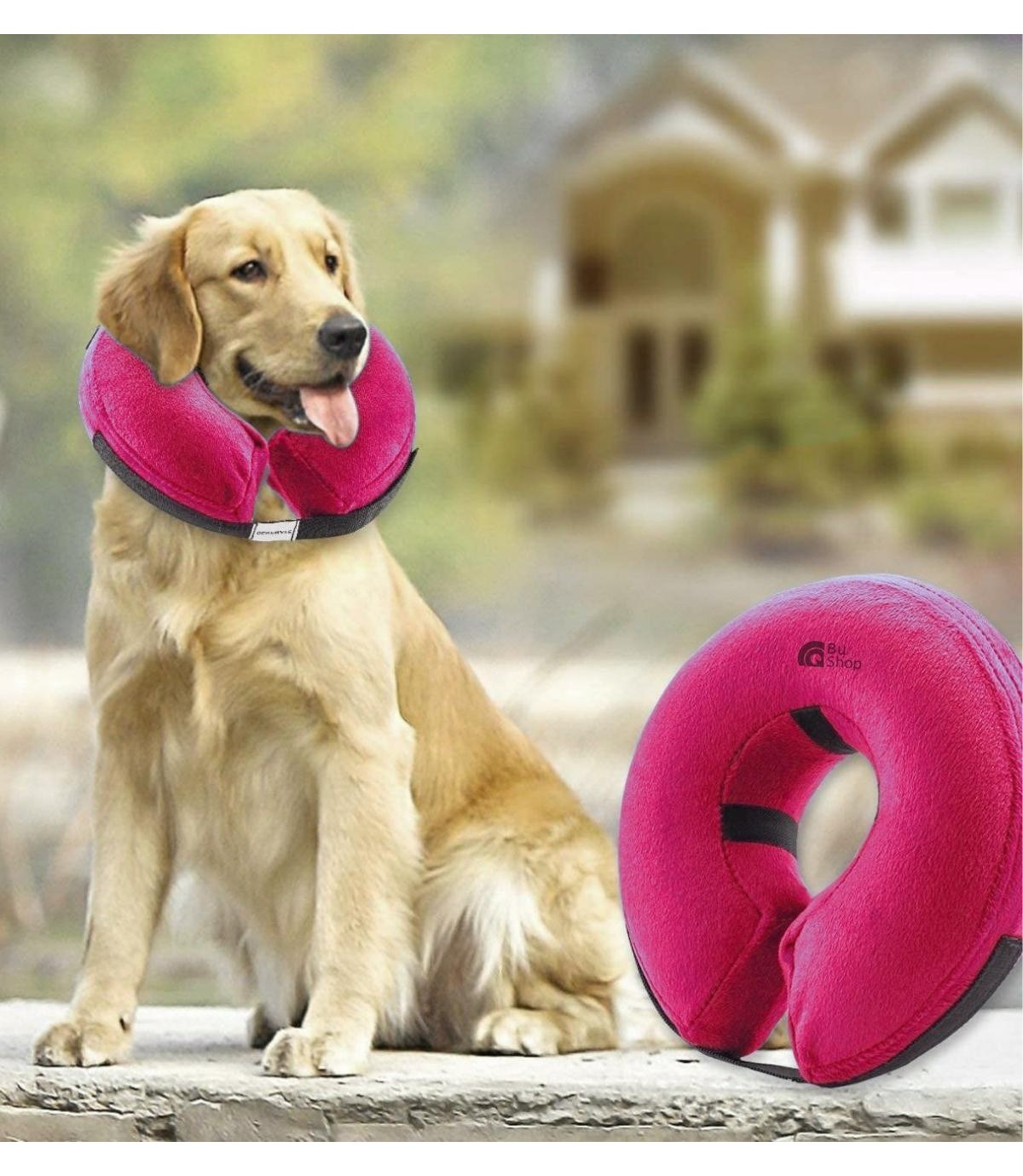 Köpek ve Kedi Koruyucu Şişme Yakalık BuShop Yüksek Kalite Pembe M