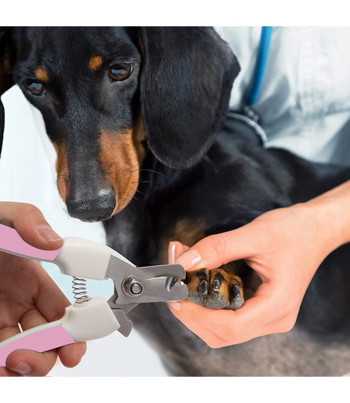 Köpek ve Kedi için Tırnak Makası ve Tırnak Törpüleme Seti - Süper İkili-Yüksek Kalite-İthal-Pembe