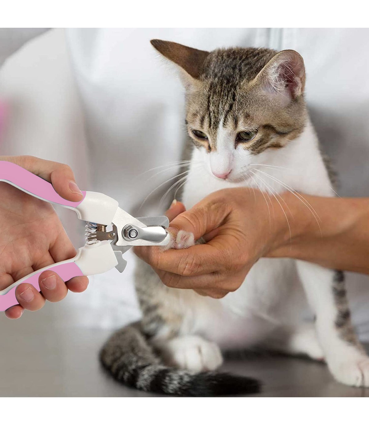  Köpek Ve Kedi Tırnak Makası Törpülü Seti -Kaliteli-İthal Pembe