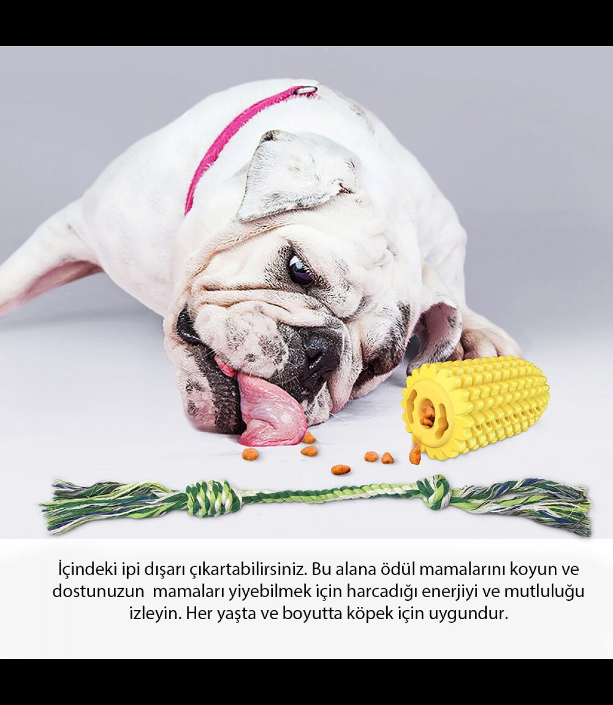 Mısır Dayanıklı köpek diş fırçalama ve temizleme oyuncağı  İp hediyeli BuShop Ödül maması verir