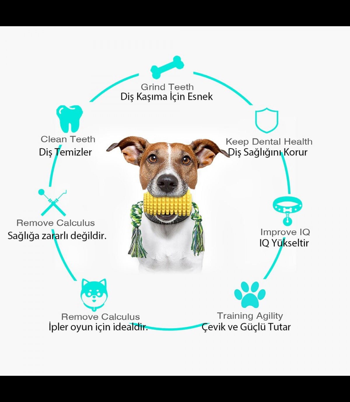 Mısır Dayanıklı köpek diş fırçalama ve temizleme oyuncağı  İp hediyeli BuShop Ödül maması verir