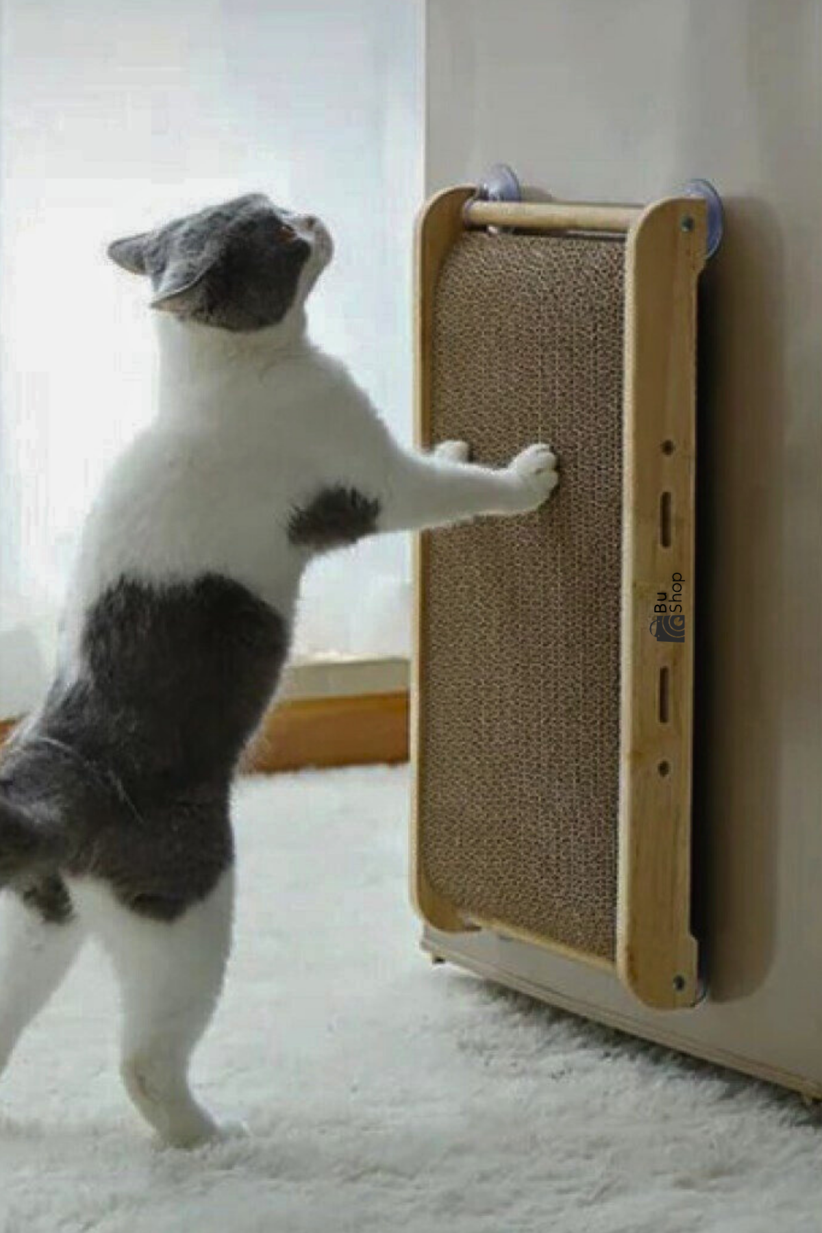 Kedi tırmalama tahtası kedi oyuncak kedi ahşap oyuncak vantuzlu oyuncak kedi kaşıma oyuncağı