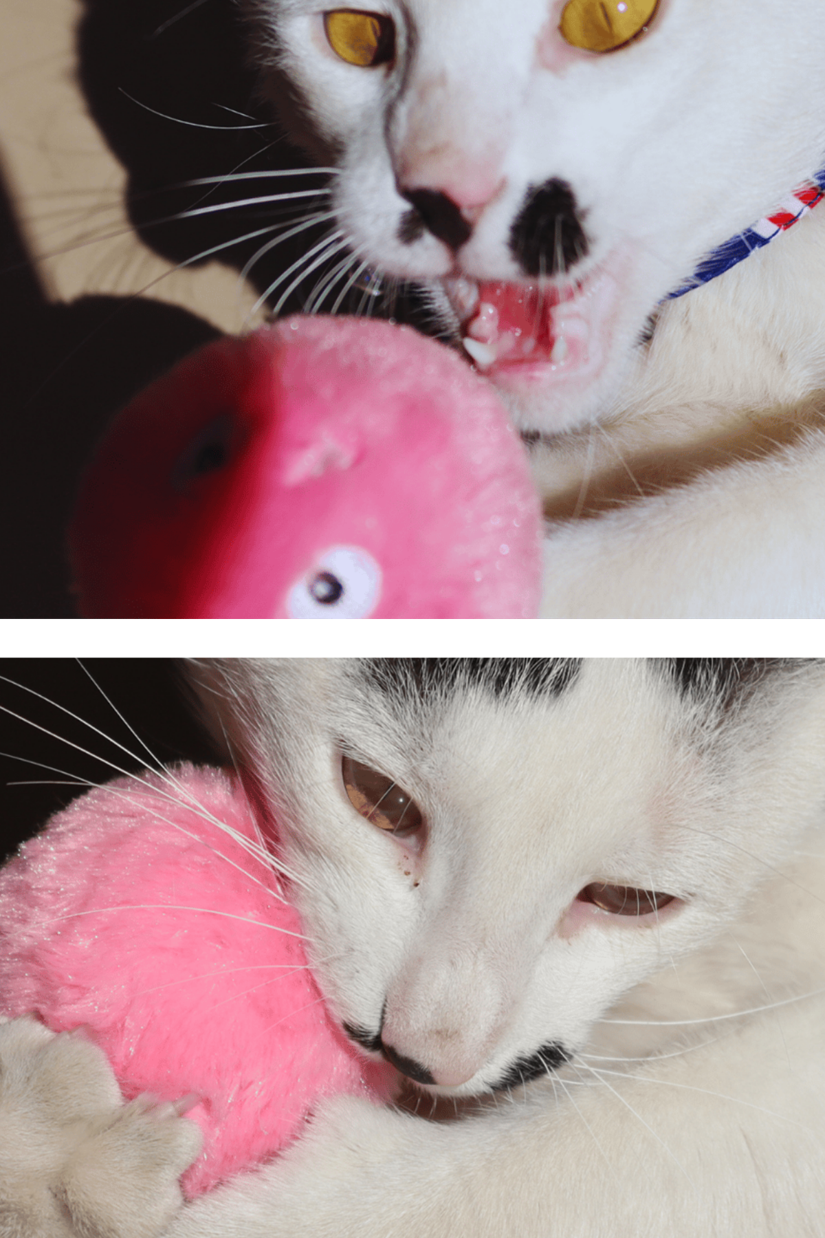 Peluş kedi oyuncak İnteraktif kedi oyuncağı Gerçek Kuş Sesli - Pembe