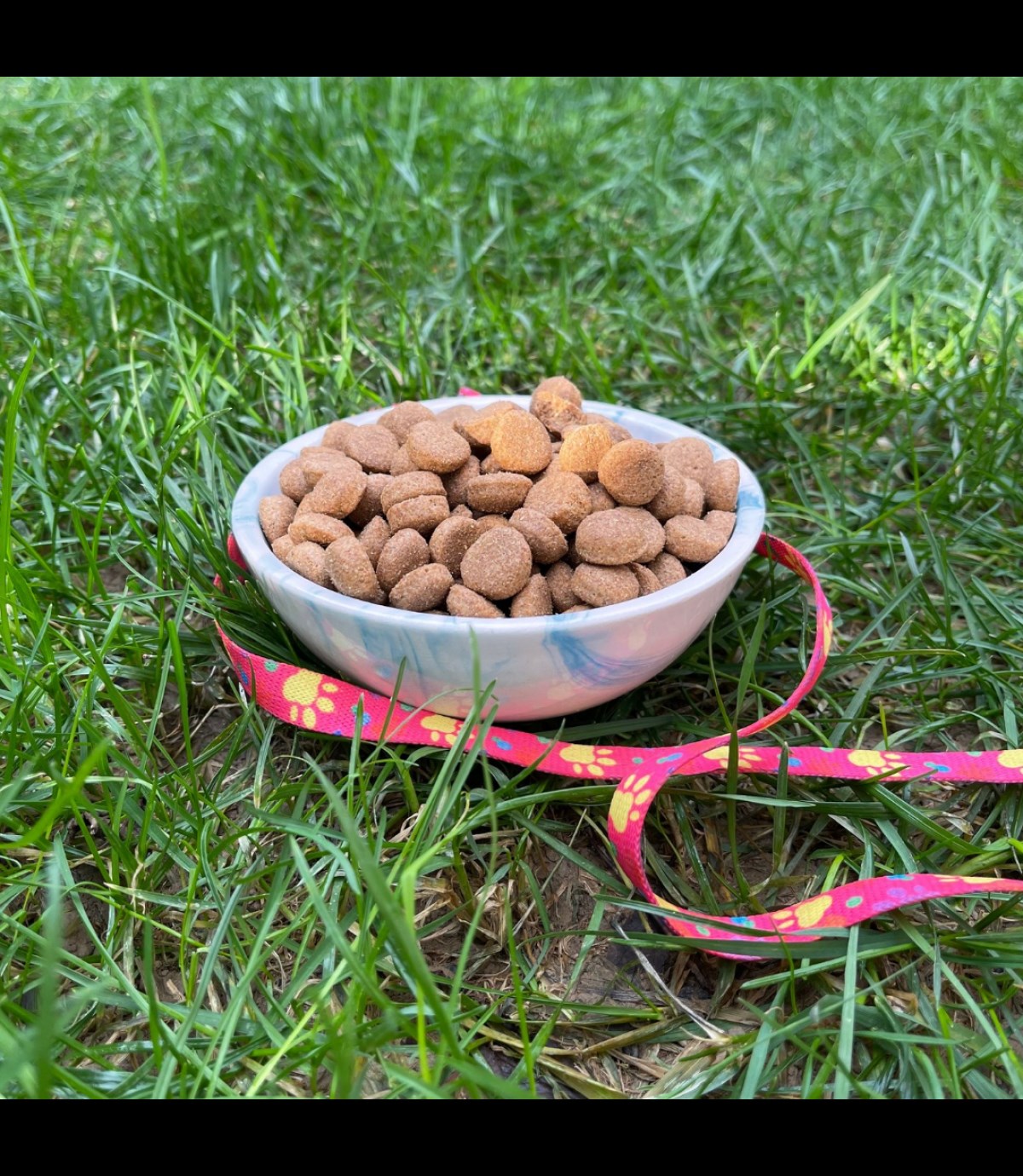 Seramik Kase 12,5 cm kedi köpek mama kabı Model: Okyanus
