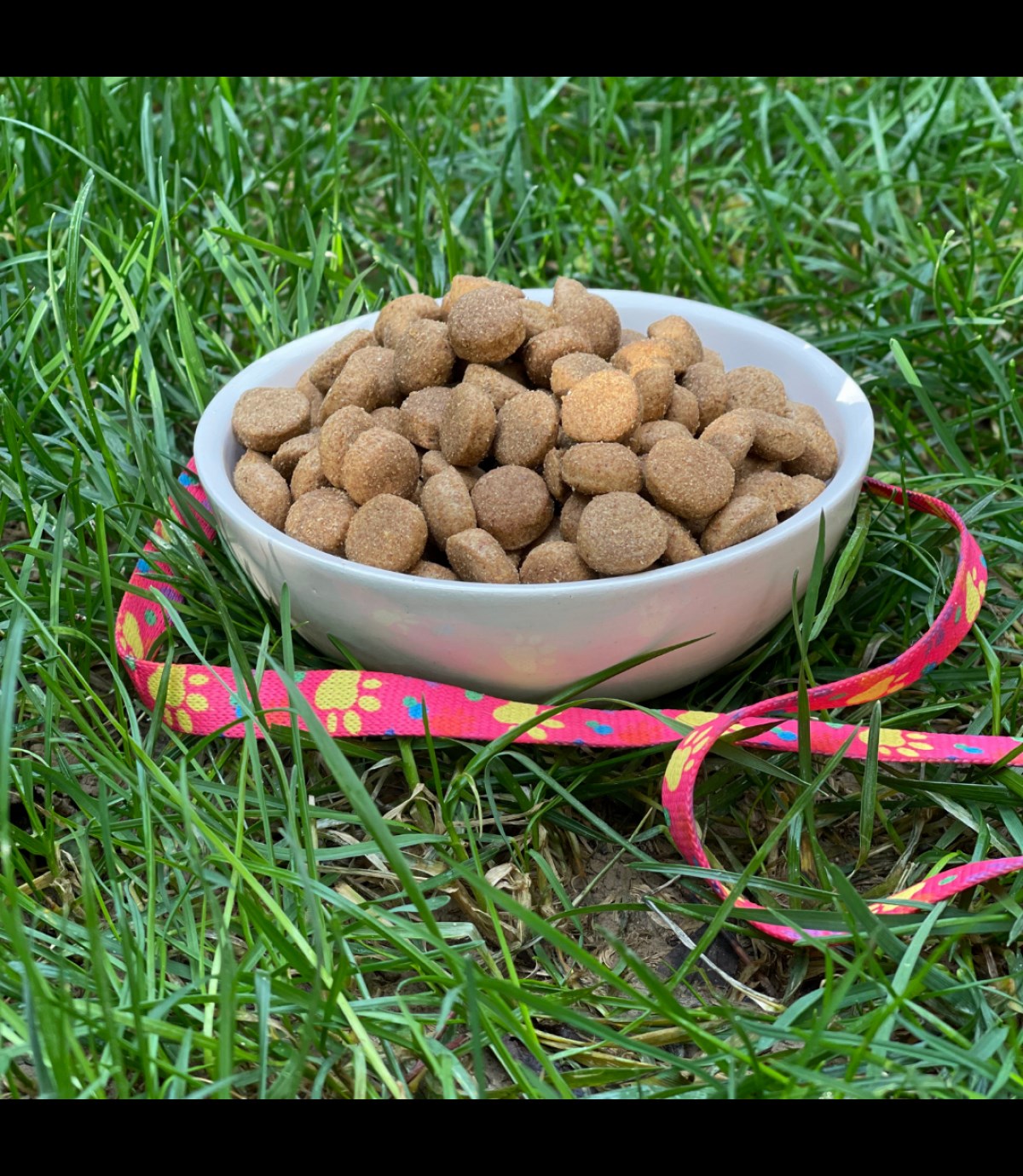 Seramik Kase 12,5 cm TEKLİ kedi köpek mama kabı Model: Vanilyam