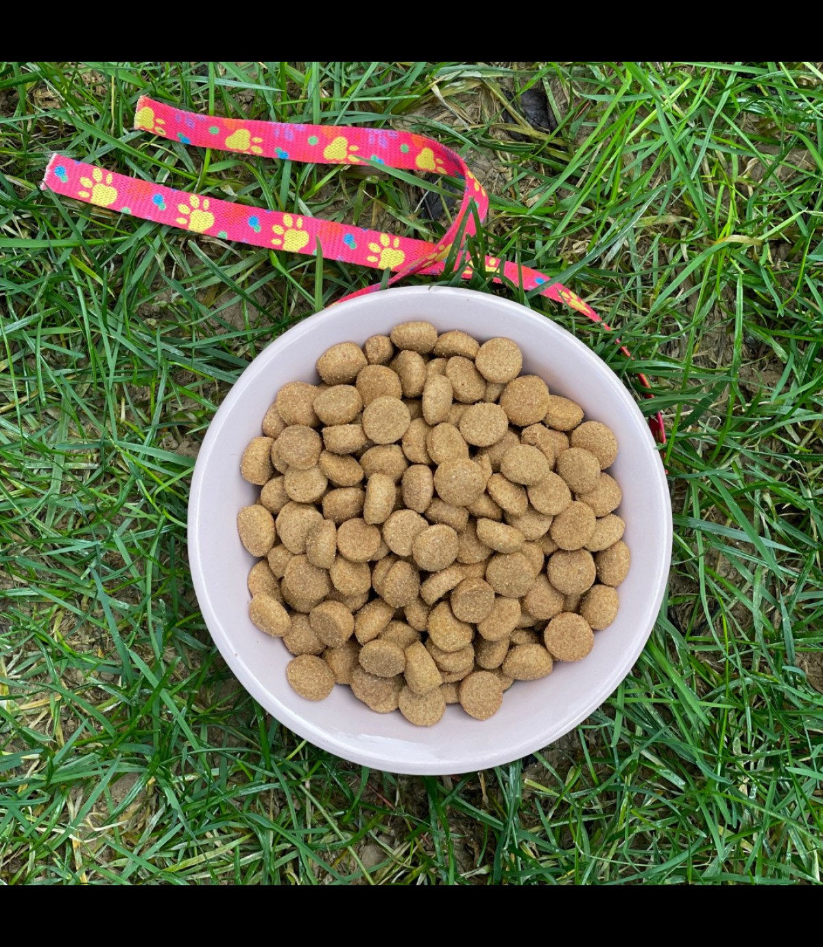 Seramik Kase 12,5 cm TEKLİ kedi köpek mama kabı Model: Vanilyam