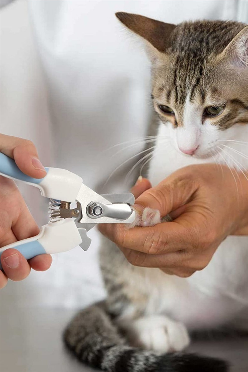 Süper 3 lü İthal Set, Silikon Kedi Köpek Yıkama Fırçası, Tırnak makası ve törpüsü, Kedi köpek Yıkama ve Bakım Seti