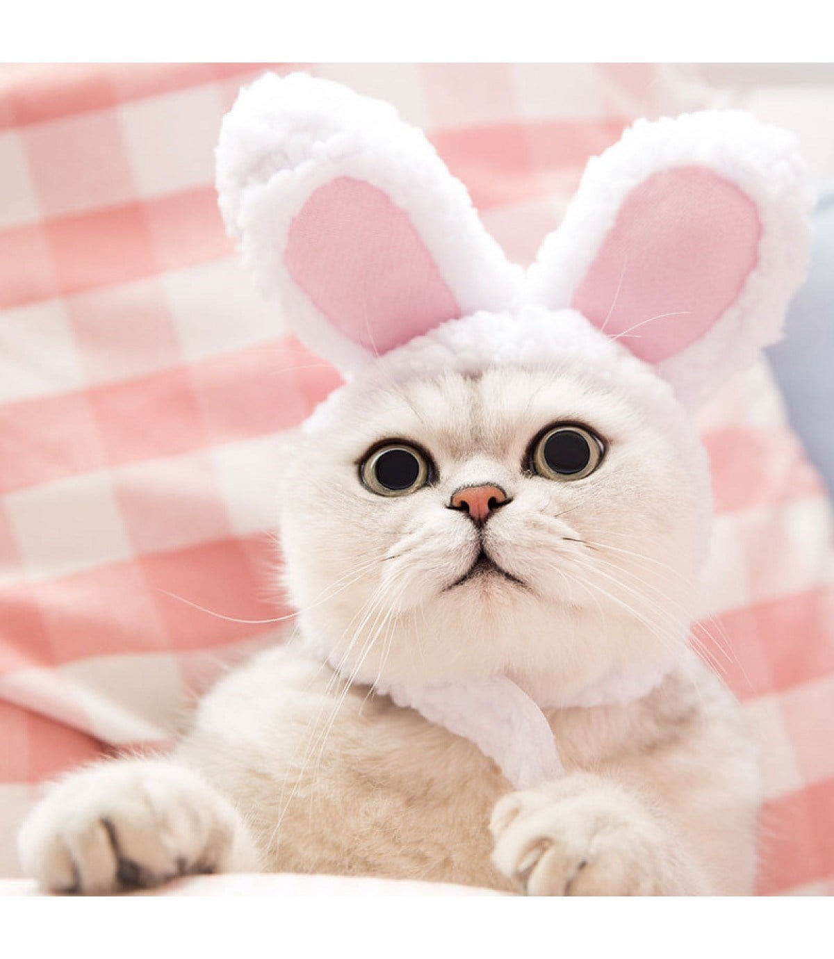 Tavşan Kulaklı Kedi Şapkası -Peluş Başlığı-Yumuşak kumaş
