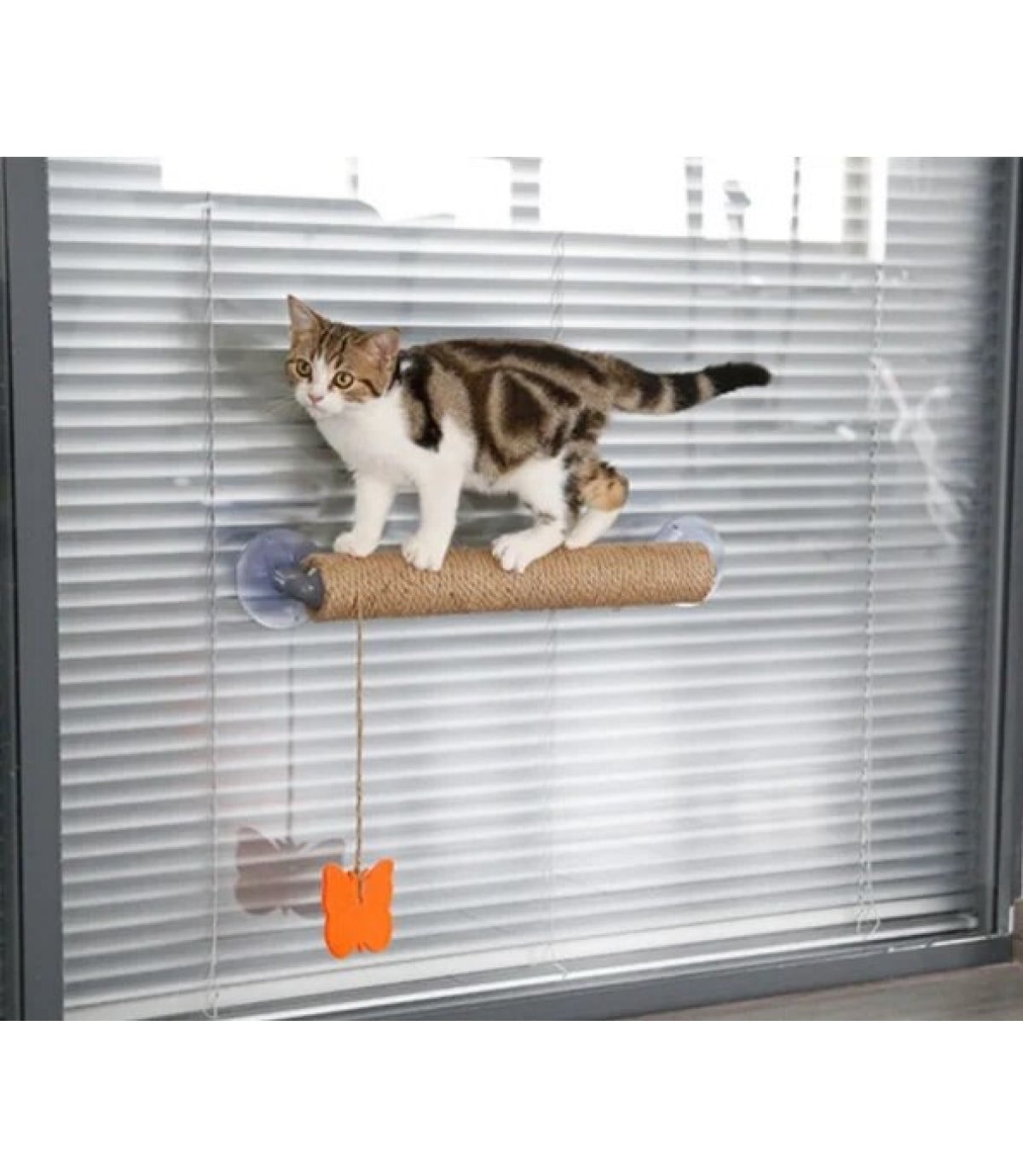 Vantuzlu Kedi Tırmalama Platformu BuShop 40 Cm Cam- Sermaik - Düz duvar