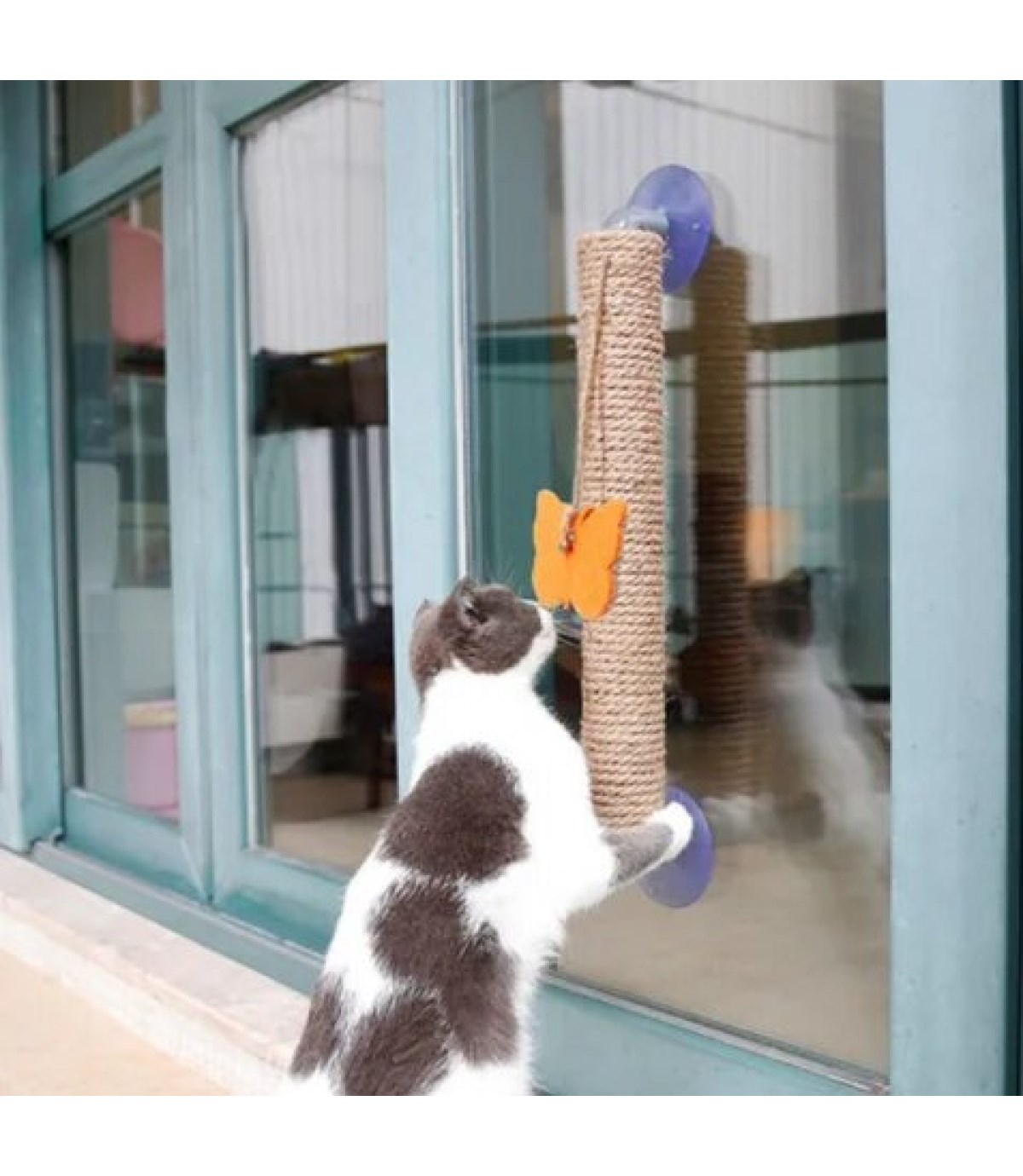 Vantuzlu Kedi Tırmalama Platformu BuShop 40 Cm Cam- Sermaik - Düz duvar