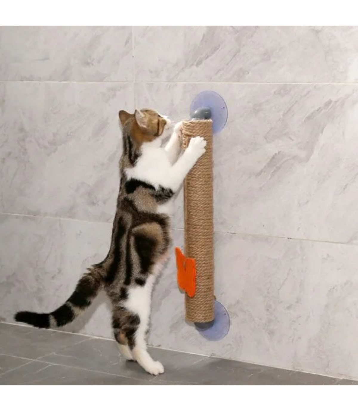 Vantuzlu Kedi Tırmalama Platformu BuShop 40 Cm Cam- Sermaik - Düz duvar