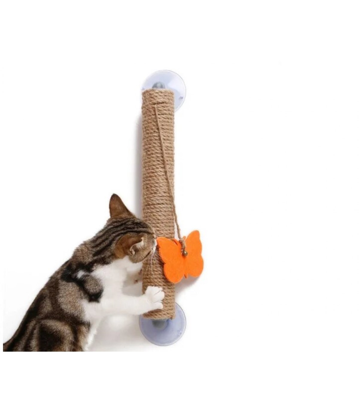 Vantuzlu Kedi Tırmalama Platformu BuShop 40 Cm Cam- Sermaik - Düz duvar