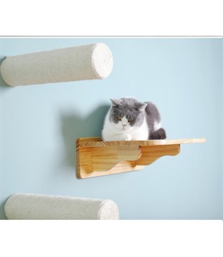 Kedi Duvara Asılabilir Tırmalama dalı BuShop Duvar Dalı  Yapay kedi Dalı  Peri Bacaları