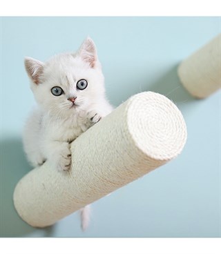  Kedi Duvara Asılabilir Tırmalama dalı BuShop Duvar Dalı  Yapay kedi Dalı  Peri Bacaları