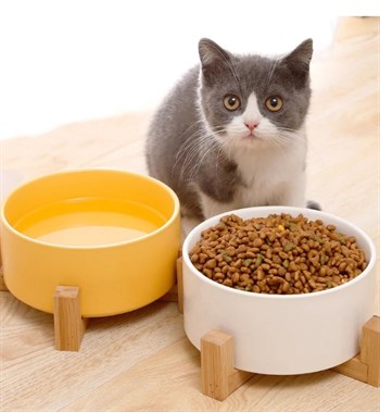 Kedi Köpek Mama  Su Kapları İkili Gerçek Ahşap  Kaydırmaz  Bushop Yüksek Kalite Beyaz Kaseli Mira