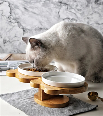 Kedi Köpek Mama Ve Su Kabı-Seramik İki Adet Kase Hediyeli-Gerçek Ahşap-Kayın Renk-BuShop Boncuk Preminyum 