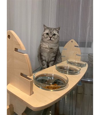 Kedi Köpek Mama Ve Su Kabı Üçlü  Gerçek Ahşap Kaydırmaz  Kılçık