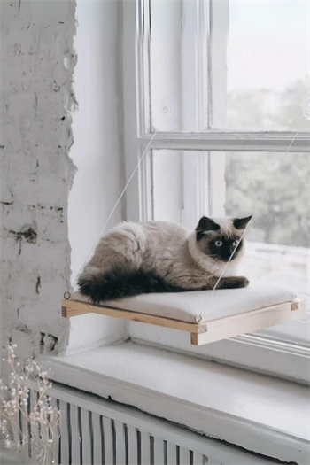  Kedi Yatağı  Cama Asılan ve  Minder Hediyeli (vantuzlu) Pro Serisi BuShop 