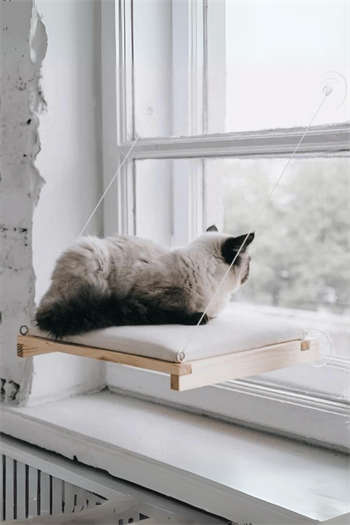  Kedi Yatağı  Cama Asılan ve  Minder Hediyeli (vantuzlu) Pro Serisi BuShop 