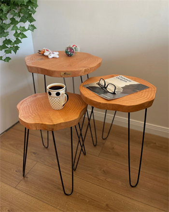 Sehpa Orta Sehpa Bushop Sehpa Modelleri 3lü Set Boho Trio Serisi