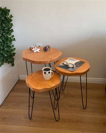 Sehpa Orta Sehpa Bushop Sehpa Modelleri 3lü Set Boho Trio Serisi