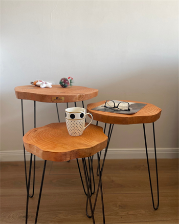 Sehpa Orta Sehpa Bushop Sehpa Modelleri 3lü Set Boho Trio Serisi